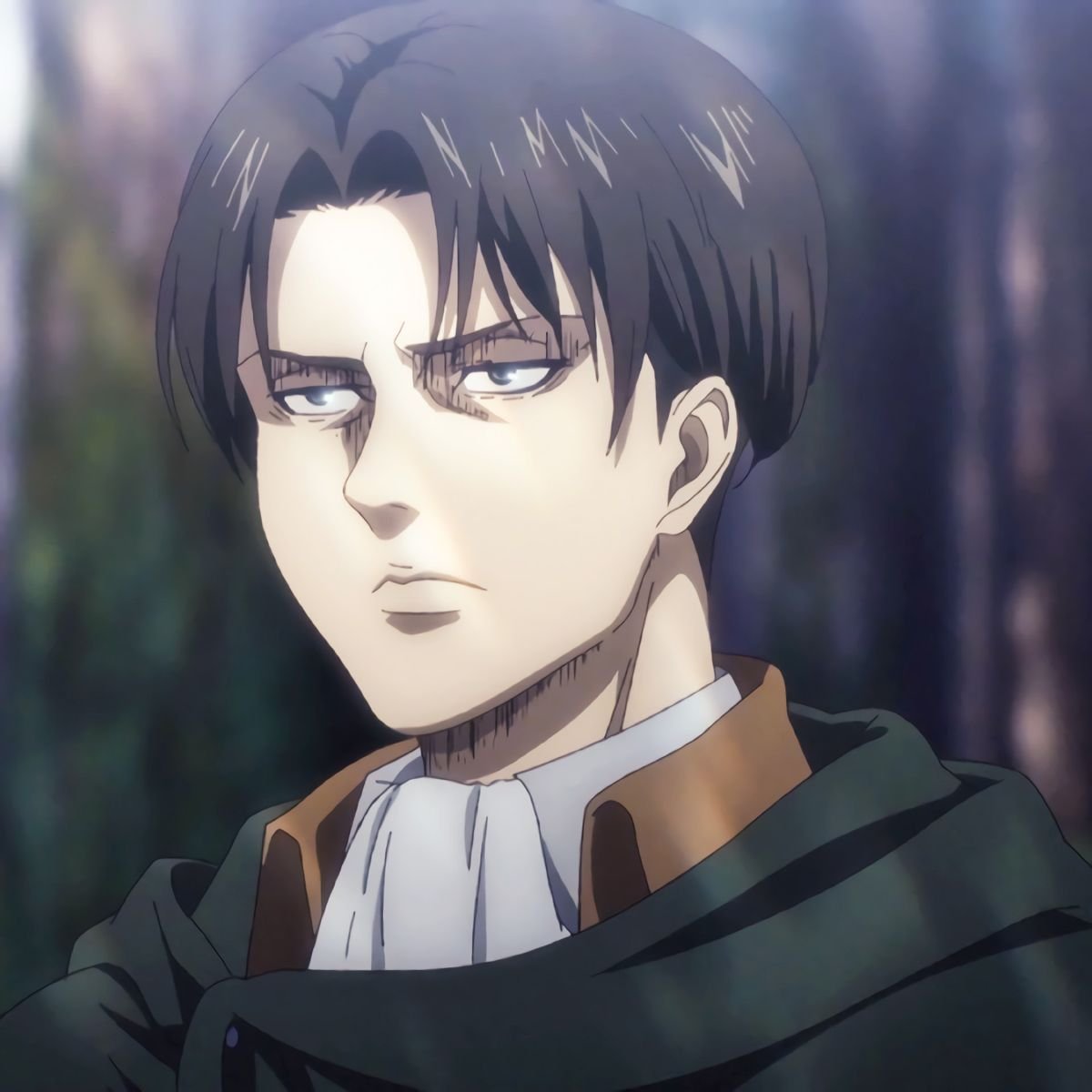 Is Levi Ackerman Stronger Than Nezuko Kamado Truly?
